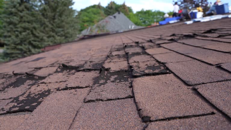 Best Roof Coating and Sealing  in Mineola, TX